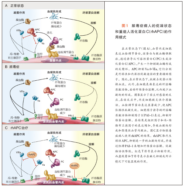 中炎症